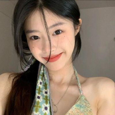 飞弹大侠满v版下载